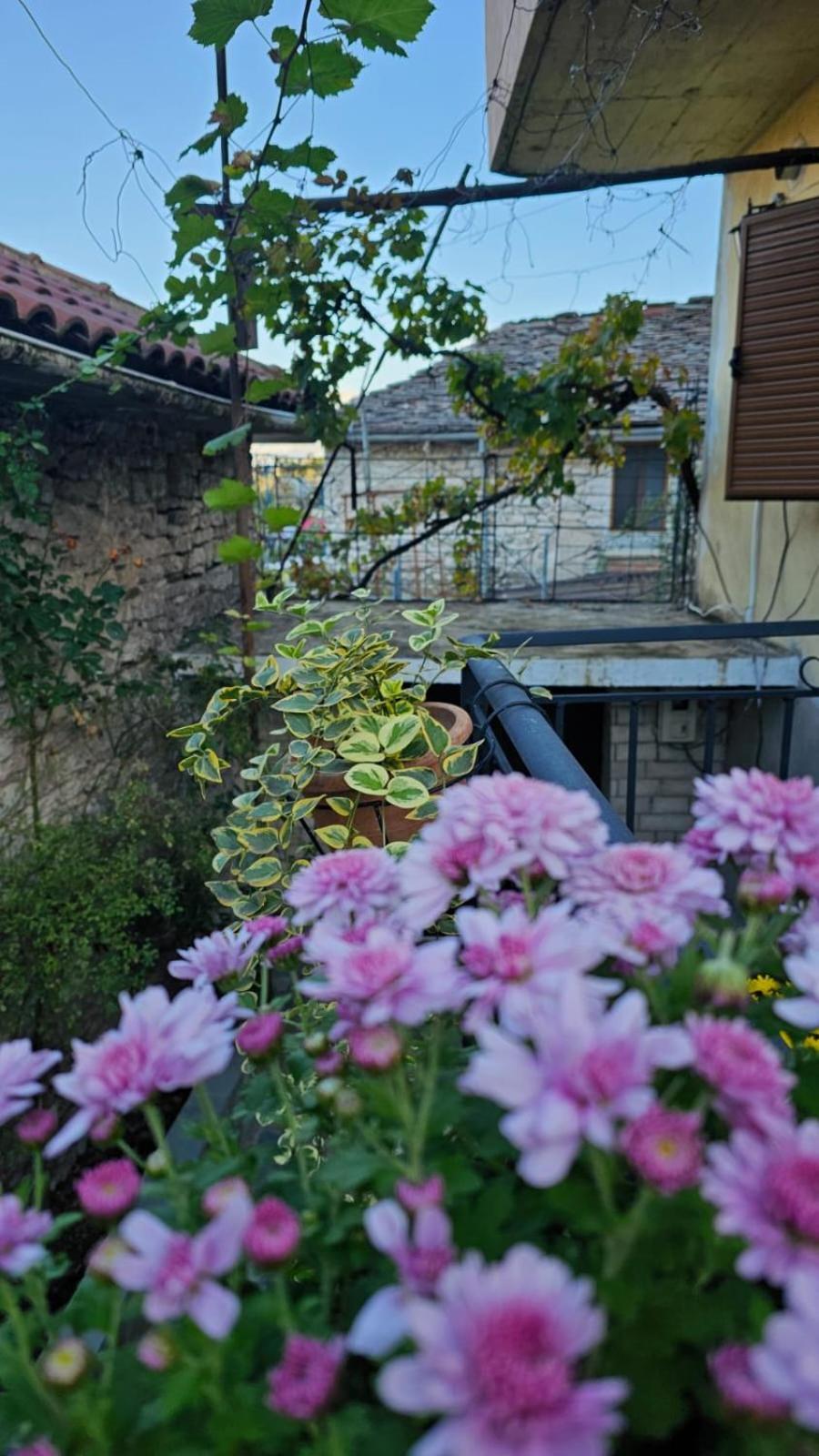 Luigi Guest House Gjirokastër Exteriör bild